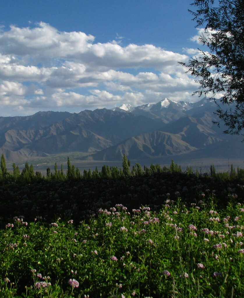 ladakh